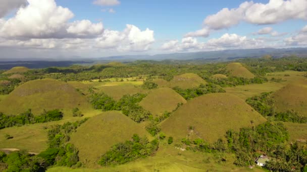 Chokolade Hills Største Attraktioner Øen Bohol Sommerlandskab Filippinerne – Stock-video