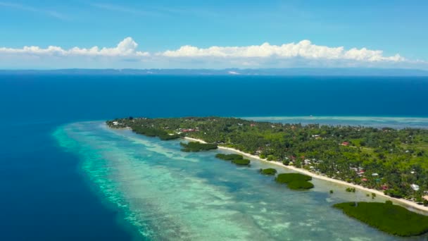 ヤシの木とターコイズクリアウォーターを備えた熱帯砂浜 パンガン島 ボホール フィリピン — ストック動画