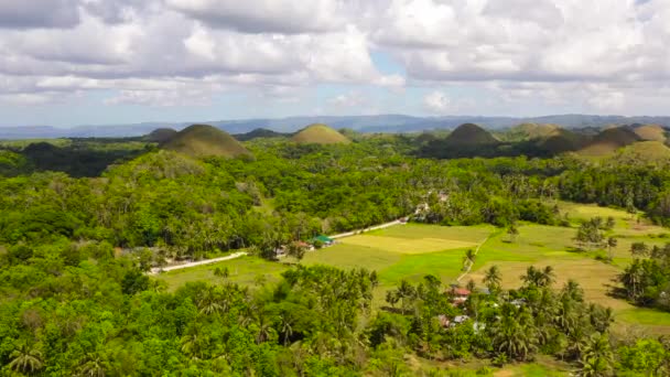 Berømte Chokolade Hills Naturlige Vartegn Bohol Filippinerne Bakker Blandt Landbrugsarealer – Stock-video