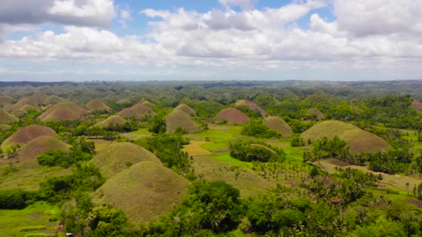 Flygfoto Över Chokladkullar Bohol Island Filippinerna Kullar Täckta Med Gräs — Stockvideo