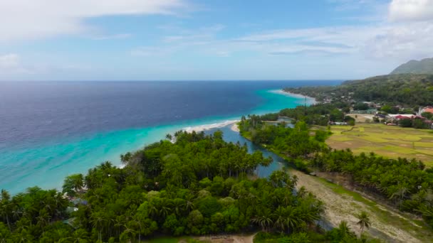 ヤシの木とターコイズクリアウォーターを備えた熱帯砂浜 フィリピン ボホール — ストック動画
