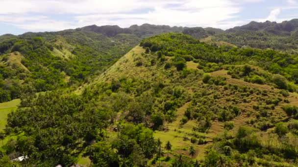 Холмы Горы Покрыты Зеленой Травой Фоне Голубого Неба Облаков Бохол — стоковое видео