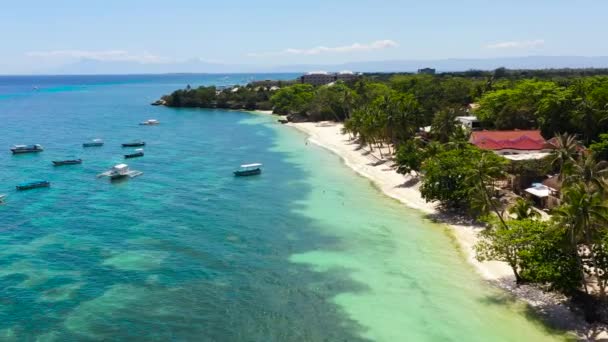 Piękna Tropikalna Plaża Białym Piaskiem Palmami Turkusowym Oceanem Plaża Alona — Wideo stockowe