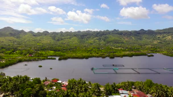 山上的养鱼场 森林林立 天空乌云密布 菲律宾Bohol岛的养鱼场 — 图库视频影像