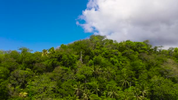 Montañas Cubiertas Selva Tropical Árboles Cielo Azul Con Nubes Bohol — Vídeo de stock