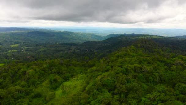 Světle Zelený Deštný Prales Letecký Výhled Džungli Bohol Filipíny Letní — Stock video