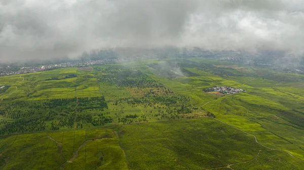 Green tea plantations in the highlands. Tea estate landscape in Sumatra. Kayu Aro, Indonesia.