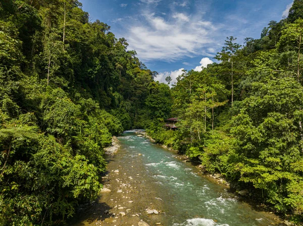 Rio Selva Com Vegetação Tropical Sumatra Bukit Lawang Indonésia — Fotografia de Stock