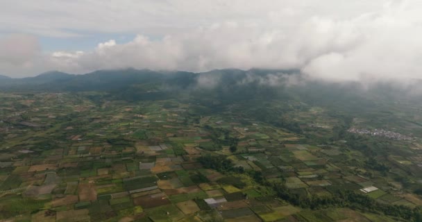 Top View Farmland Farm Fields Countryside Sumatra Berastagi Indonesia — Stock Video