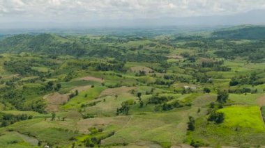Aerial view of farmland and plantations with vegetables in the countryside. Negros, Philippines