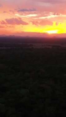 Sri Lanka 'nın ulusal parkındaki dağların arka planında günbatımı. Dikey video.