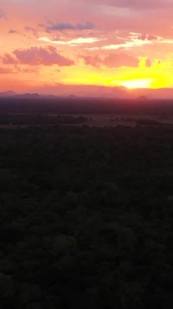 Sunset Jungle Background Mountains National Park Sri Lanka Vertical Video — Stock Video