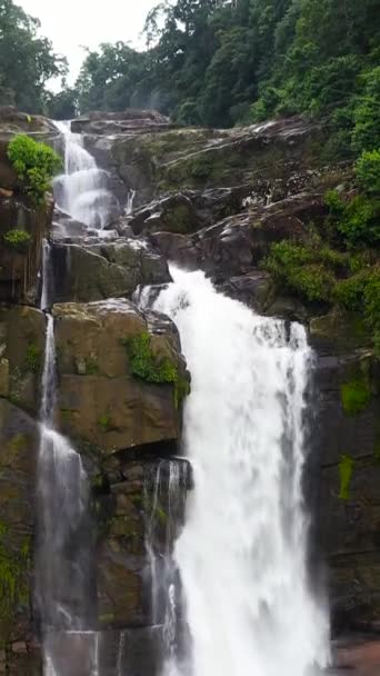 Waterfall Green Forest Aberdeen Falls Jungle Sri Lanka — Stock Video