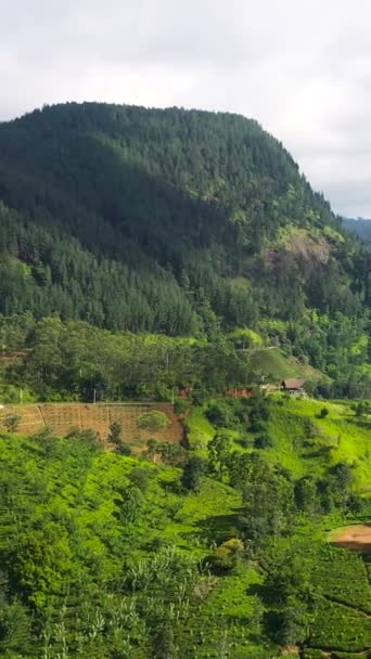 Bovenaanzicht Bergen Met Groene Bossen Landbouwgrond Met Boerderijplantages Sri Lanka — Stockvideo