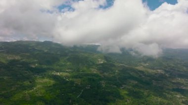Tropikal dağ manzarası, palmiye ağaçları ve orman. Cebu Adası, Filipinler.