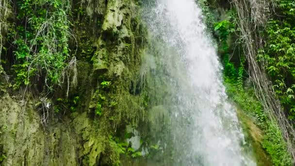 ゆっくりとジャングルの滝 熱帯雨林のインバンカン滝 フィリピン — ストック動画