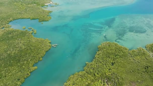 Manguezais Água Turquesa Mar Tropical Negros Filipinas — Vídeo de Stock