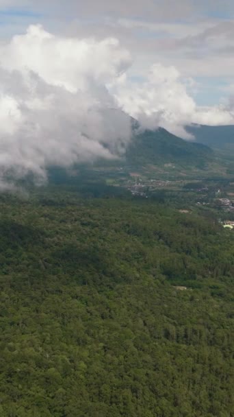 在美丽的卡罗高地的农地中 贝拉斯塔吉镇的无人驾驶飞机 苏门答腊印度尼西亚 — 图库视频影像