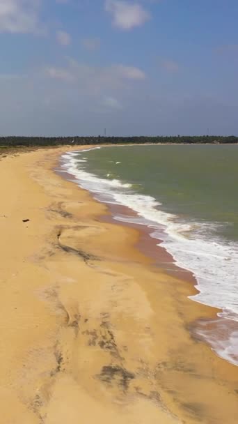Vista Aérea Playa Arena Oleaje Oceánico Con Olas Kalpitiya Sri — Vídeo de stock