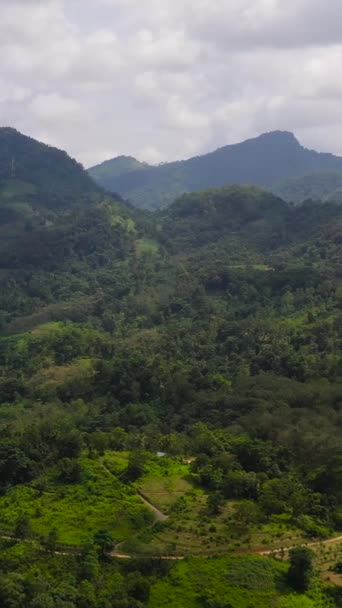 Vista Superior Propriedade Tea Terra Agrícola Entre Montanhas Colinas Com — Vídeo de Stock