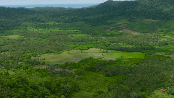 Вид Воздуха Горные Склоны Тропическим Лесом Горную Долину Сельхозугодиями Палаван — стоковое видео