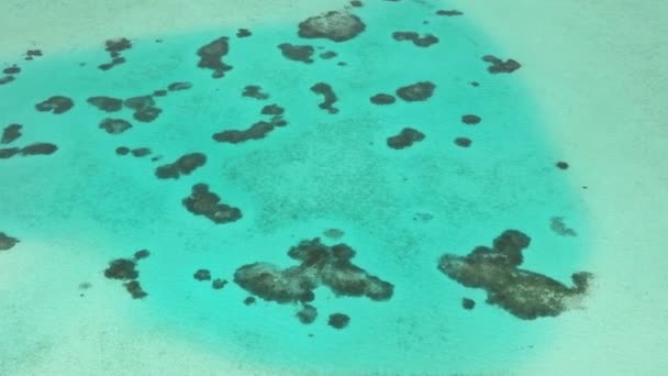 Aerial View Lagoon Surface Atoll Coral Reef Balabac Palawan Philippines — Stock Video