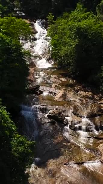 Dağlarda Yağmur Ormanları Ormanların Arasında Bir Nehir Sri Lanka — Stok video
