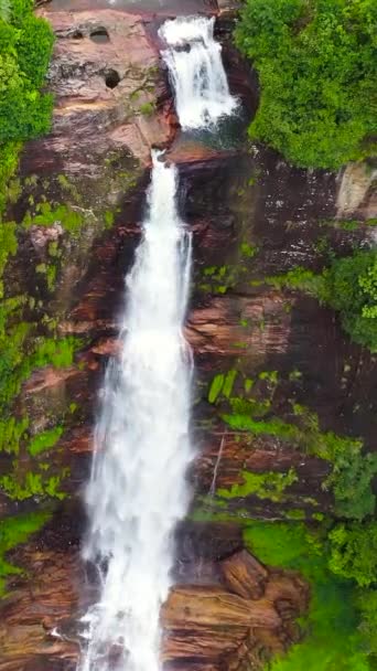 Εναέρια Drone Του Όμορφου Καταρράκτη Στα Βουνά Γκάρτμορ Πέφτει Maskeliya — Αρχείο Βίντεο