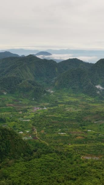 Κοιλάδα Χωράφια Ανάμεσα Βουνά Και Ζούγκλα Σουμάτρα Ινδονησία — Αρχείο Βίντεο