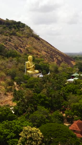 Bovenaanzicht Van Boeddha Standbeeld Een Heuvel Helling Sri Lanka — Stockvideo