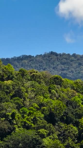 Повітряний Вид Гірський Ландшафт Гірськими Вершинами Покритими Лісом Суматра Індонезія — стокове відео