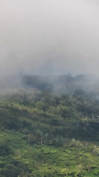 Βουνά Κάλυπταν Τροπικά Δάση Σουμάτρα Ινδονησία — Αρχείο Βίντεο