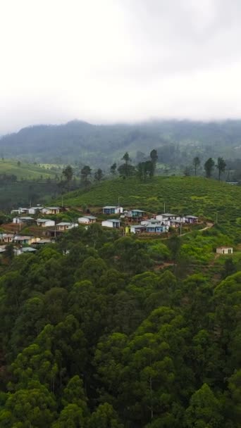 Деревня Среди Чайных Плантаций Чайная Усадьба Шри Ланке Вертикальное Видео — стоковое видео