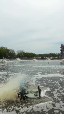 Karides havuzunun ortasında bir fırıldak. Havalandırma pompalı karides çiftliği oksijenli su. Bali, Endonezya.