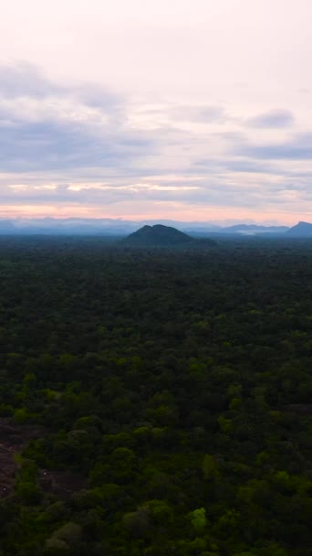 Αεροφωτογραφία Του Ηλιοβασιλέματος Στο Τροπικό Δάσος Της Σρι Λάνκα — Αρχείο Βίντεο