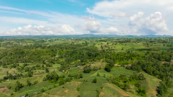 Γεωργικές Εκτάσεις Καλλιέργειες Και Ζαχαροκάλαμο Μια Κοιλάδα Του Βουνού Negros — Αρχείο Βίντεο