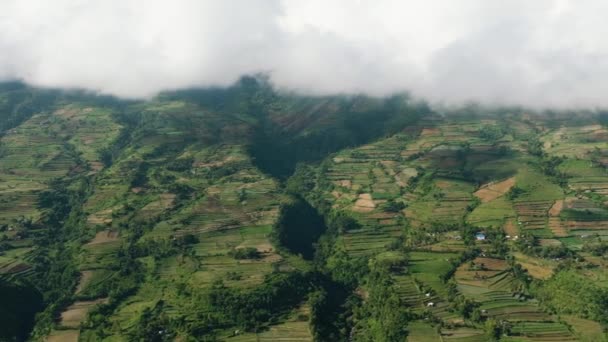 在靠近佳能火山的山区 农业和农田从高处俯瞰 Negros 菲律宾 — 图库视频影像