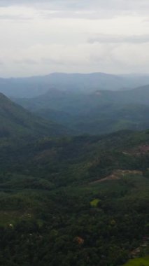 Tarım arazisi ve yeşil ormanlı dağların havadan görünüşü. Sri Lanka. Dikey video.