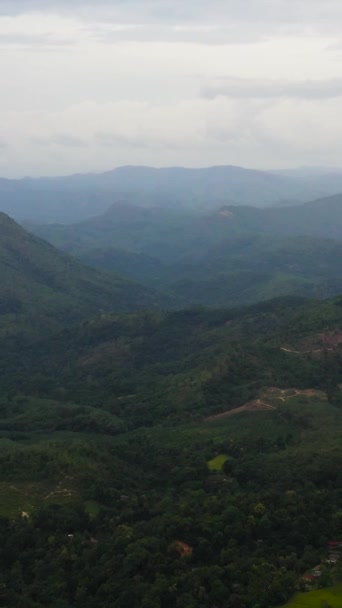 Aerial View Agricultural Land Mountains Green Forest Sri Lanka Vertical — Stock Video
