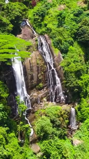 Wodospad Lesie Deszczowym Dżungla Tropikalny Wodospad Hunas Górskiej Dżungli Hunnasgiriya — Wideo stockowe