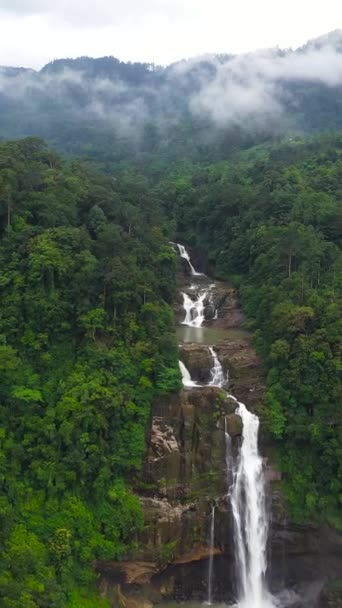 Waterfall Green Forest Aberdeen Falls Jungle Sri Lanka — Stock video