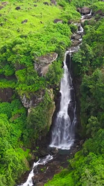 Красивый Водопад Чайный Усадьба Шри Ланке Водопад Рамбода Вертикальное Видео — стоковое видео