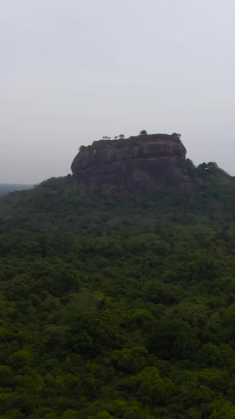 Roca Sigiriya Roca Pidurangala Cerca Dambulla Sri Lanka Selva Verde — Vídeo de stock