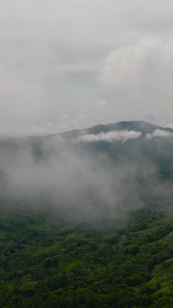 Bovenaanzicht Tropisch Landschap Met Bergen Jungle Borneo Sabah Maleisië — Stockvideo