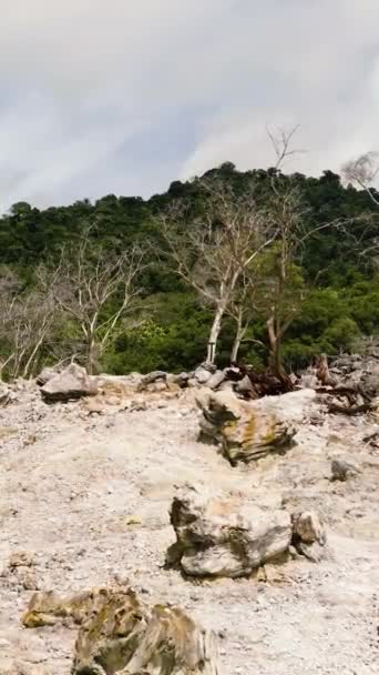 Вулканический Ландшафт Засохшими Деревьями После Извержения Вулкана Джунглях Остров Вех — стоковое видео