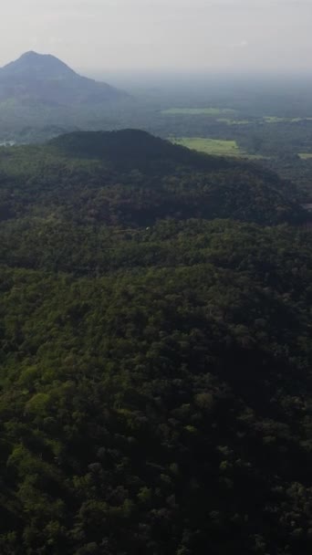 Тропический Зеленый Лес Горах Холмы Джунглей Утреннем Тумане Шри Ланка — стоковое видео