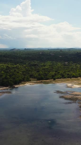 森林和农田顶部的景色 斯里兰卡 — 图库视频影像