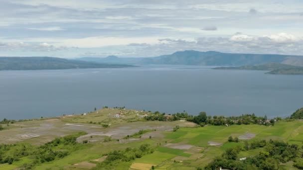 Drohnen Über Reisfeldern Und Ackerland Ufer Des Tobasees Sumatra Indonesien — Stockvideo