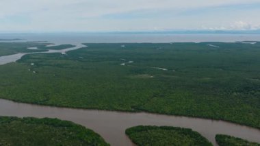 Bataklıkları ve mangrovları olan sulak alanların hava aracı. Menumbok orman rezervi. Borneo, Sabah, Malezya.