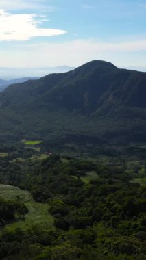 Tropik dağ sırası ve dağ yamaçlarında yağmur ormanları. Sri Lanka. Riverston, Sri Lanka. Dikey video.